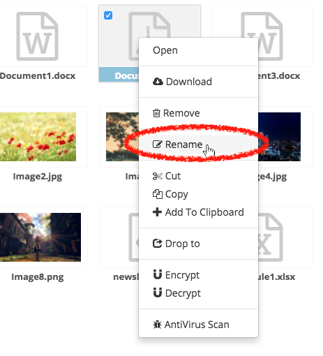 2-20-rename.png 2-20-rename.png